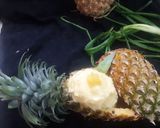 A picture of step 8 of Pineapple coconut ice cream.