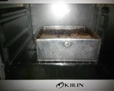 Foto langkah ke 8 dari resep Bread Pudding Dg Air Kelapa n Santan Jg Gula Palem.