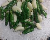 मिरचीचा ठेचा (mirchi cha thecha recipe in marathi) रेसिपी स्टेप 1 फोटो 