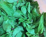 ઈઝી & ટેસ્ટી ફુદીના ની ચટણી (Easy & Tasty Pudina Chutney Recipe In Gujarati) રેસીપી સ્ટેપ1ફોટો