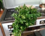 عکس مرحله 3 از دستور غذا فوری(بندری)