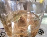 Foto del paso 2 de la receta: Ensalada de cebolla y changles