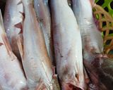Hình bước làm 1 của món Cá ngạnh nấu ám