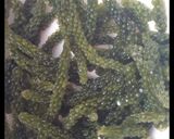 Foto langkah ke 3 dari resep Gulai merale kaur bengkulu.