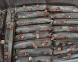 Foto del paso 2 de la receta: Navajas al horno con San Simón da Costa