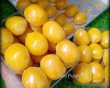 Foto langkah ke 6 dari resep Nastar (adonan tanpa telur).