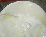 Yoghurtmatakin girki3 hoto