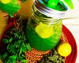 Minti Lemmonade recipe step 3 photo