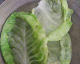 A picture of step 1 of Nutty lemony cabbage roll in green sauce.