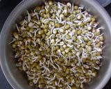 ફણગાવેલા મગ (Sprouted Moong Recipe In Gujarati) રેસીપી સ્ટેપ1ફોટો