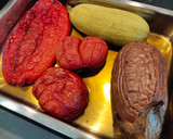 Foto del paso 1 de la receta: Escalivada con calabacín
