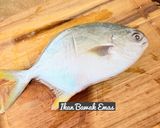 Gambar langkah 1 resipi 👩‍🍳 Ikan Bawal Emas Sos Plum.