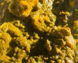 A picture of step 13 of Palak Paneer.