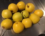 Une image de l'étape 1 de Gelée de pommes du jardin (recette anti gaspi).