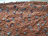 Brownie de porotos con avena instantánea