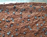 Foto del paso 5 de la receta: Brownie de porotos con avena instantánea