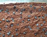 Foto del paso 5 de la receta: Brownie de porotos con avena instantánea