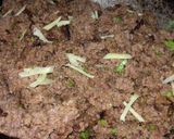 A picture of step 5 of Tawa Keema by Amna's kitchen.