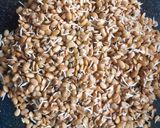 A picture of step 2 of Horse gram masala.