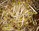 Foto langkah ke 1 dari resep Sayur mentimun mix touge 🍽️.