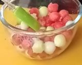 મિન્ટ મેલન સલાડ (Mint Melon Salad Recipe In Gujarati) રેસીપી સ્ટેપ2ફોટો
