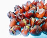 Hình bước làm 2 của món 🌰Hạt dẻ rang kiểu Trùng Khánh