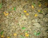 A picture of step 2 of Samosa filling.