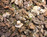 A picture of step 2 of Baked Rotini with Italian Hot Sausage.
