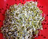 हेल्दी चीला Healthy Cheela recipe in Hindi) रेसिपी चरण 2 फोटो