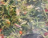Foto langkah ke 5 dari resep Tumis Sayur Daun Gingseng Bunga Pepaya Kecombrang.