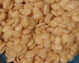 Foto del paso 3 de la receta: Cazuela de porotos de manteca