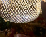 Foto del paso 2 de la receta: Potaje de alubias, con verduras y chorizo