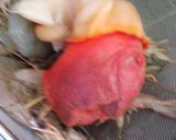 Foto del paso 1 de la receta: Ceviche de caracol