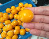 Foto langkah ke 8 dari resep Nastar.
