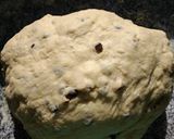 Foto del paso 4 de la receta: Pan dulce con chocolate y almendras