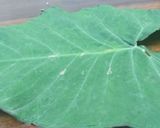 A picture of step 1 of Arrow Roots (Nduma)Leaves bhajiya#authors marathon.