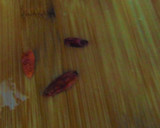 Foto del paso 4 de la receta: 🌶️Pimientos rellenos de carne picada al horno 🐔