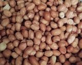 Foto langkah ke 1 dari resep Kacang Kribo.