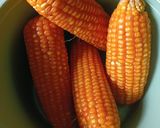 Foto langkah ke 1 dari resep Grontol Jagung.