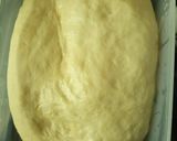 A picture of step 2 of Garlic Naan.