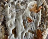 Foto del paso 9 de la receta: Tlacoyo