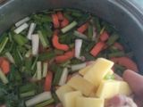 SOP tetelan