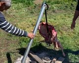 Foto del paso 4 de la receta: Cordero al Palo