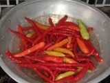 Sambal Cumi