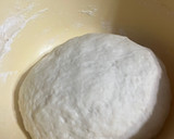 Foto del paso 1 de la receta: Gyosas