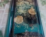 Foto langkah ke 4 dari resep Brownies panggang shiny crust.
