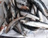Foto del paso 1 de la receta: Sardinas conservadas en aceite🐟