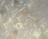 A picture of step 6 of Chicken corn veggie soup with cup cake.