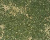 A picture of step 4 of Homemade kasuri methi.
