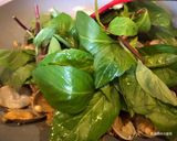 A picture of step 5 of Clams with Basil and Rice Wine.